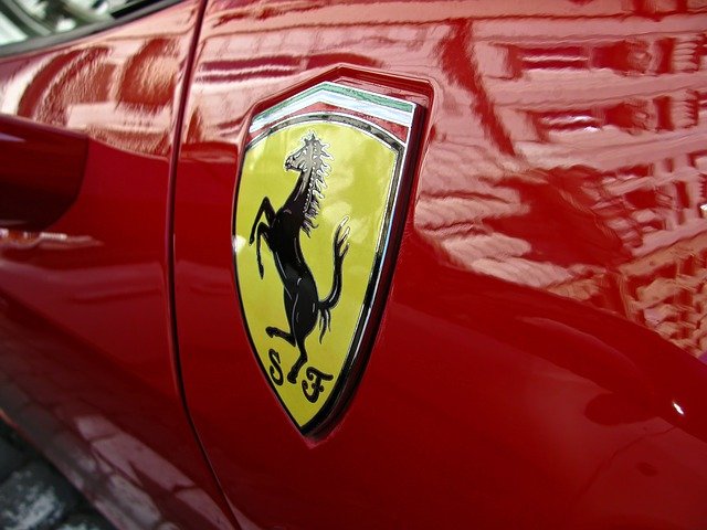 strona Igora B